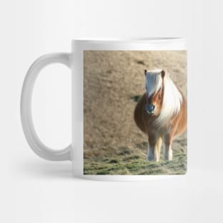 Dartmoor Pony Mug